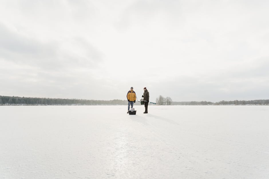 Understanding Carp Behaviour in Winter
