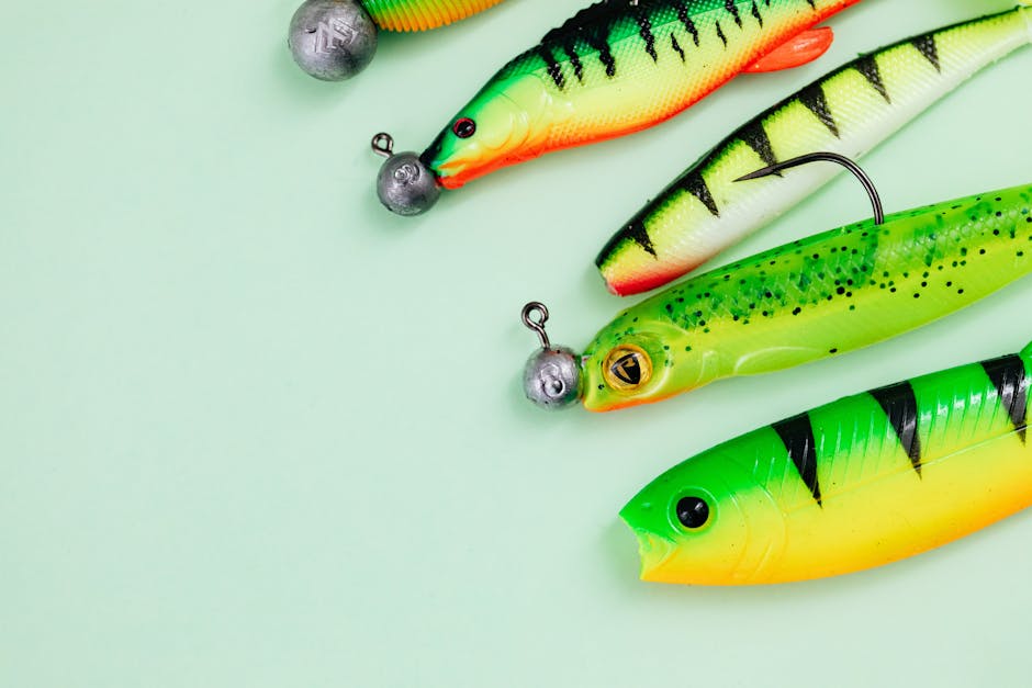 Best Baits for UK Carp in Spring